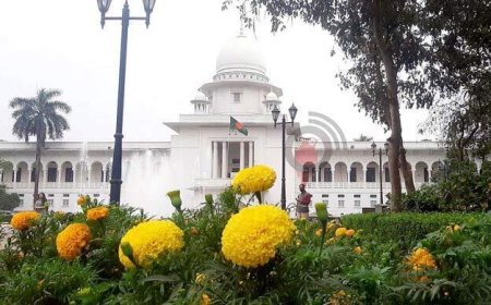 ৪৬তম বিসিএস পরীক্ষা বাতিলে হাইকোর্টে রিট